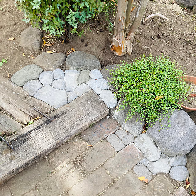 youさんの実例写真