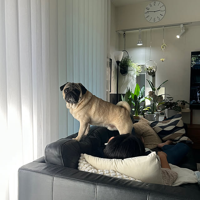 taigonさんの部屋