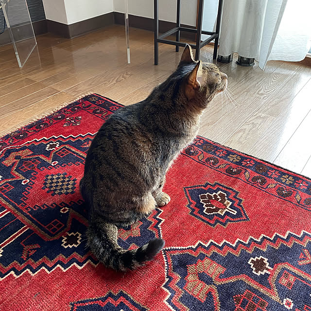 nahocさんの実例写真