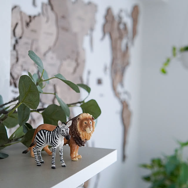 Saraさんの実例写真