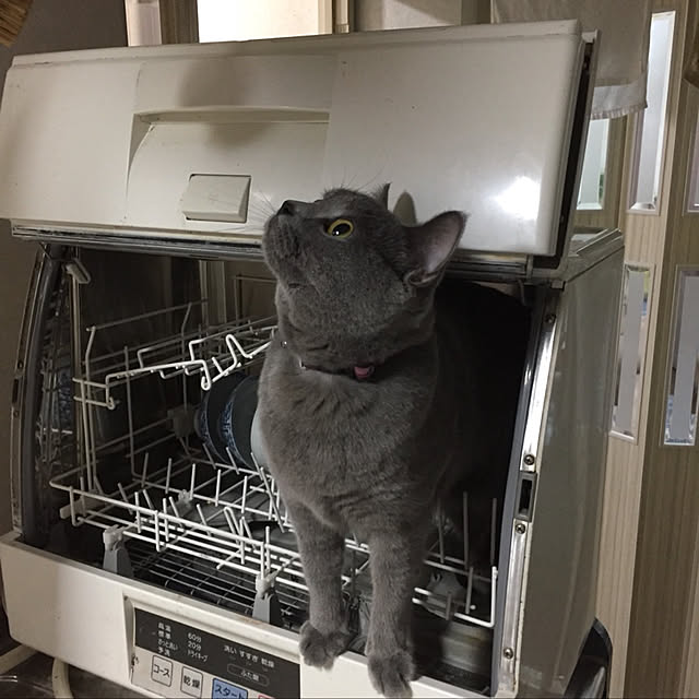 masaさんの実例写真