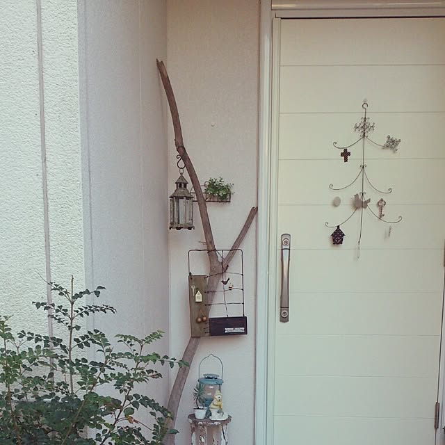 実例写真