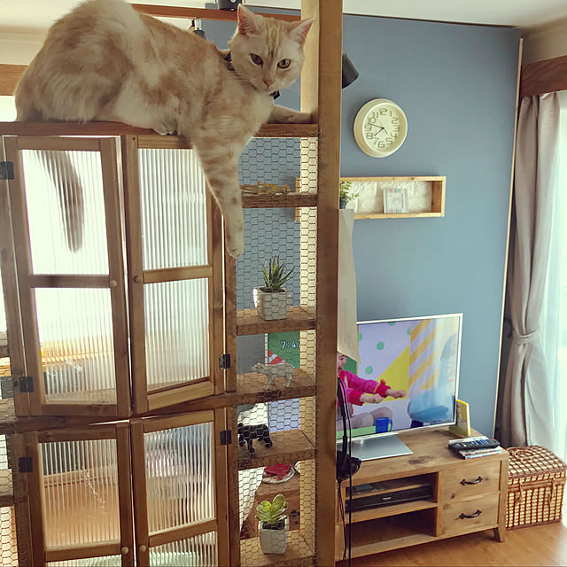 bambi_eyeさんの実例写真