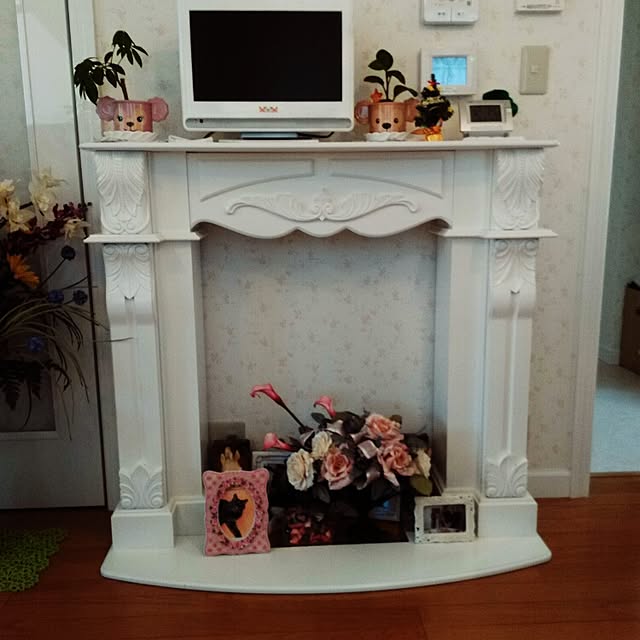 hasano_jpさんの実例写真