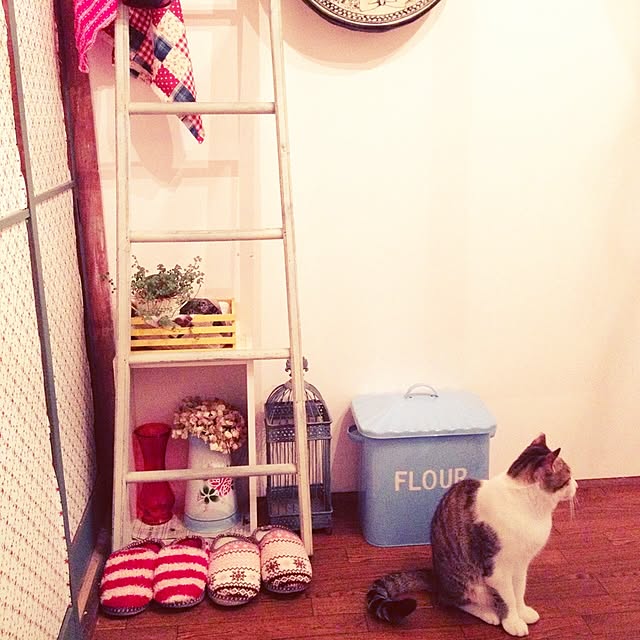 apeさんの実例写真