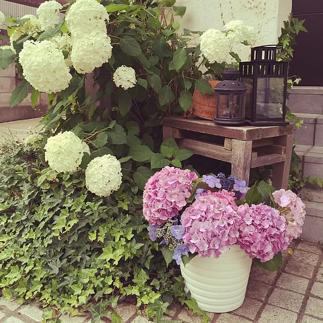 Ayumiさんの実例写真