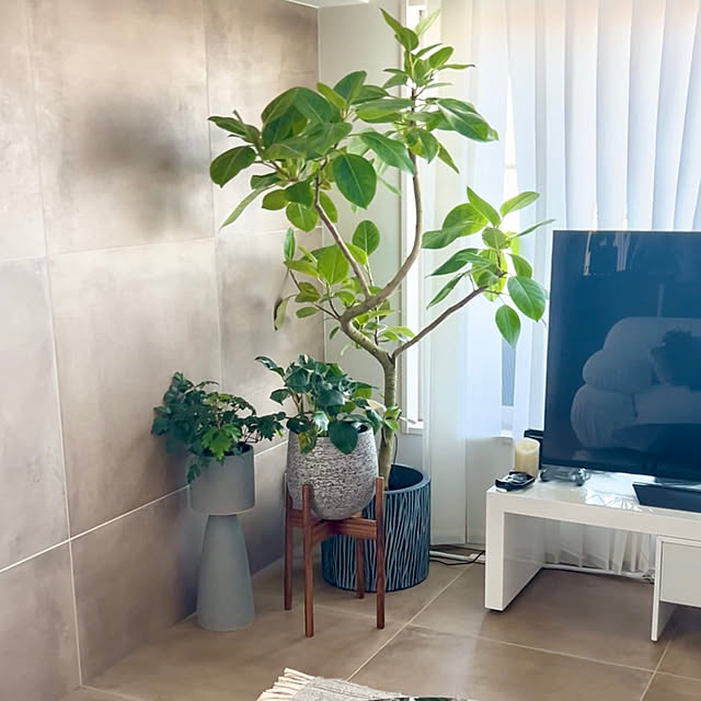 cocoさんの実例写真