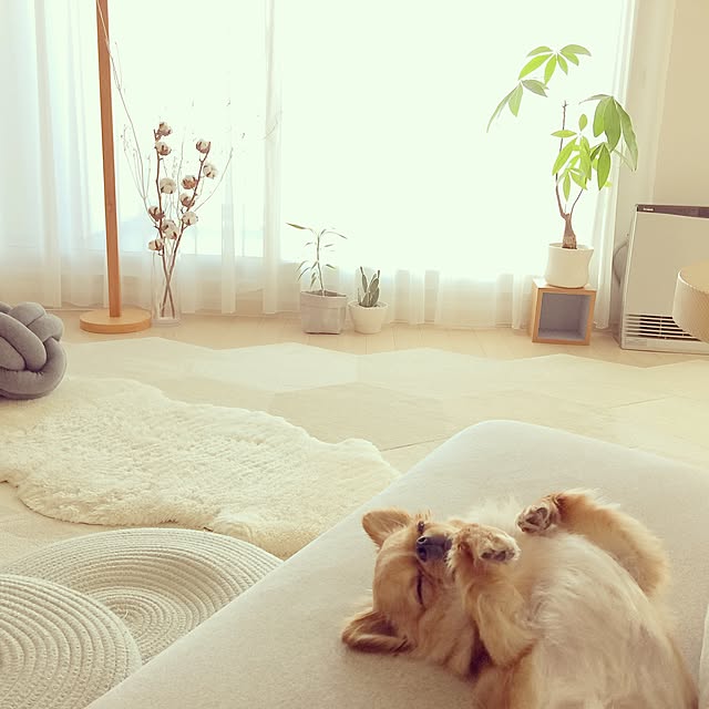 haruhinaさんの実例写真