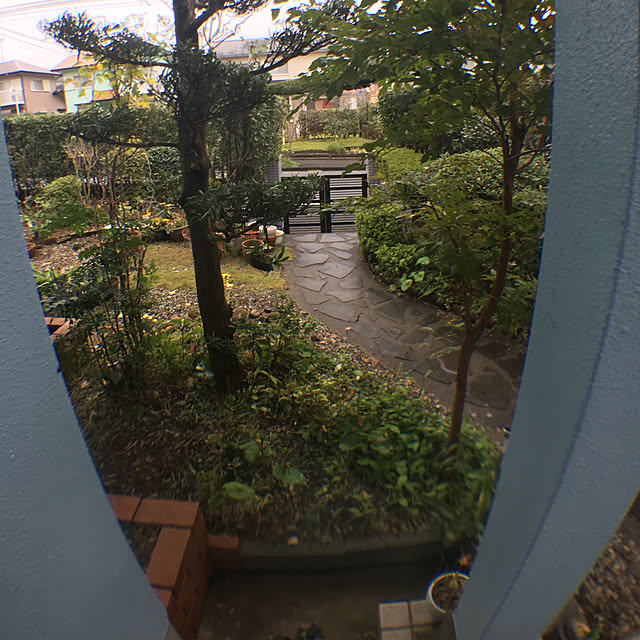 HISAKOさんの実例写真