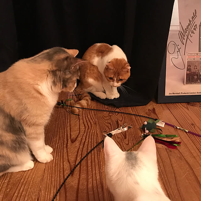 sakurasakuさんの実例写真