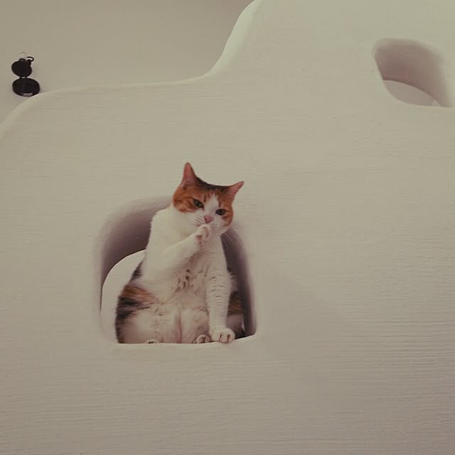 shi-5382さんの実例写真