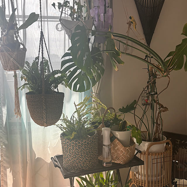 misaさんの部屋