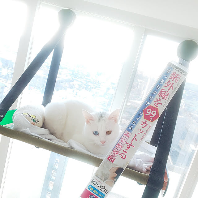 necoさんの実例写真