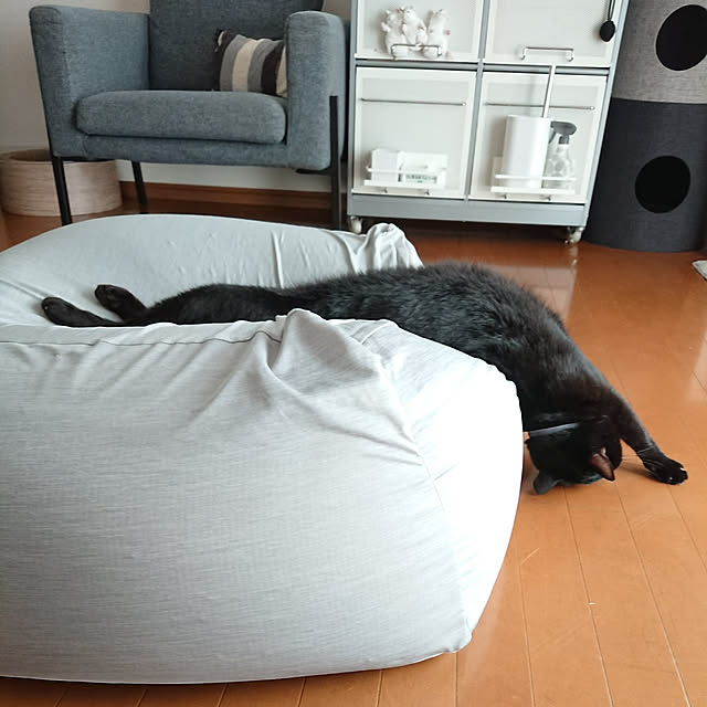 maikyさんの実例写真