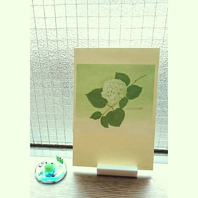 citsuraeさんの実例写真