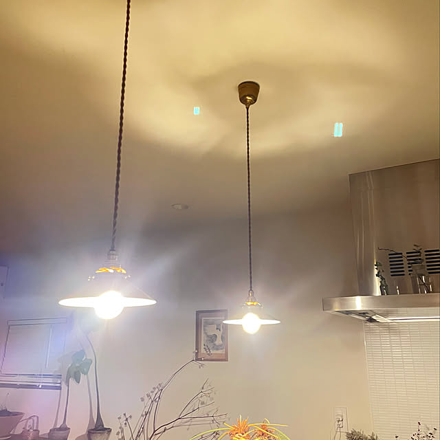 Shokanさんの実例写真