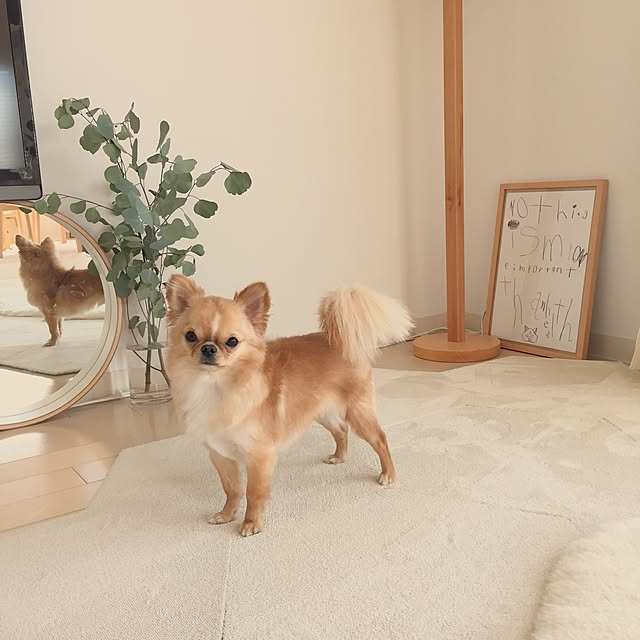 haruhinaさんの実例写真