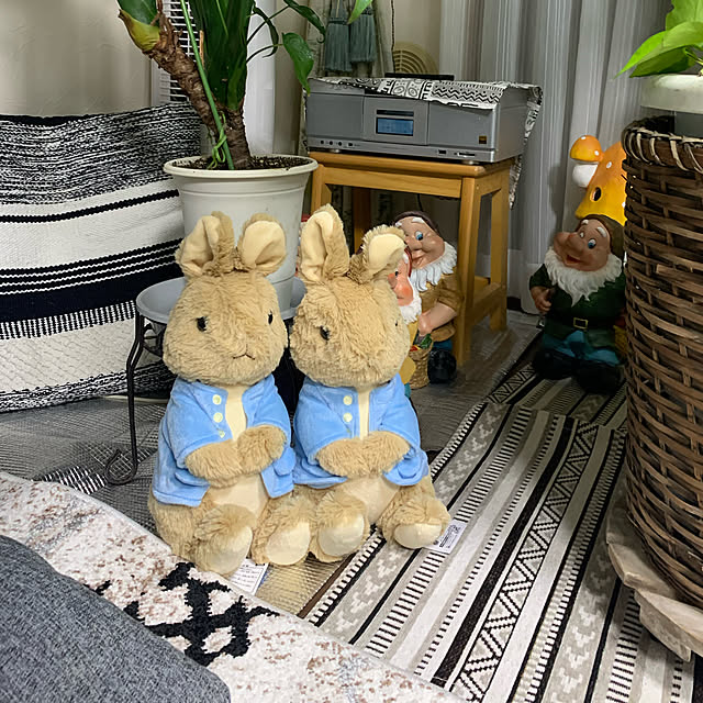 Aqettyさんの実例写真