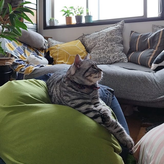 hiro3さんの実例写真