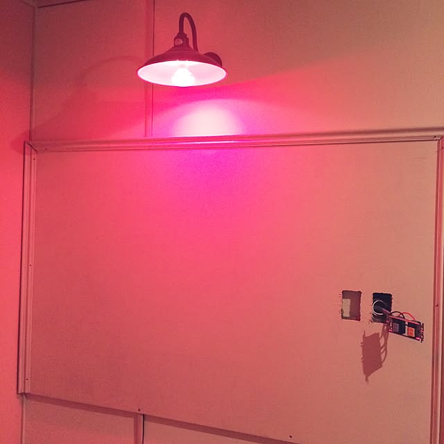 masaさんの実例写真
