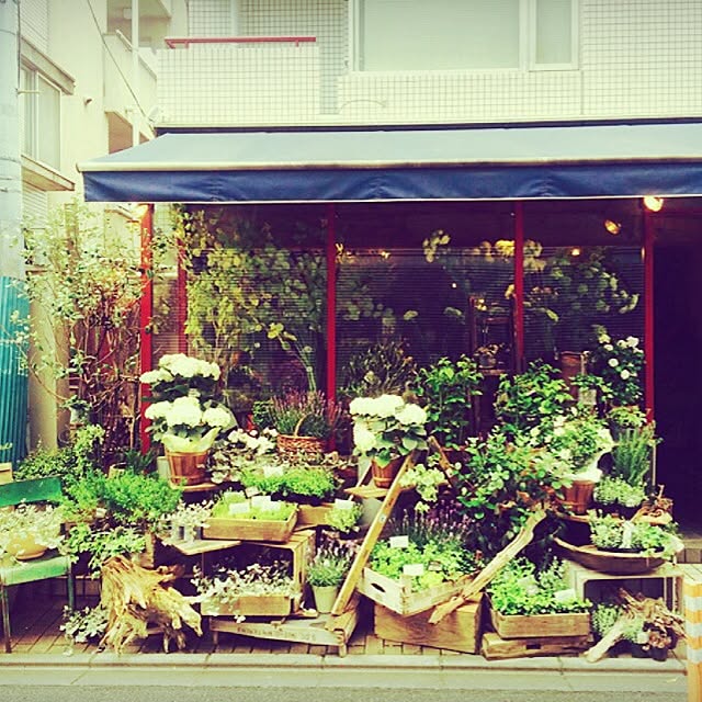 kaoriさんの実例写真