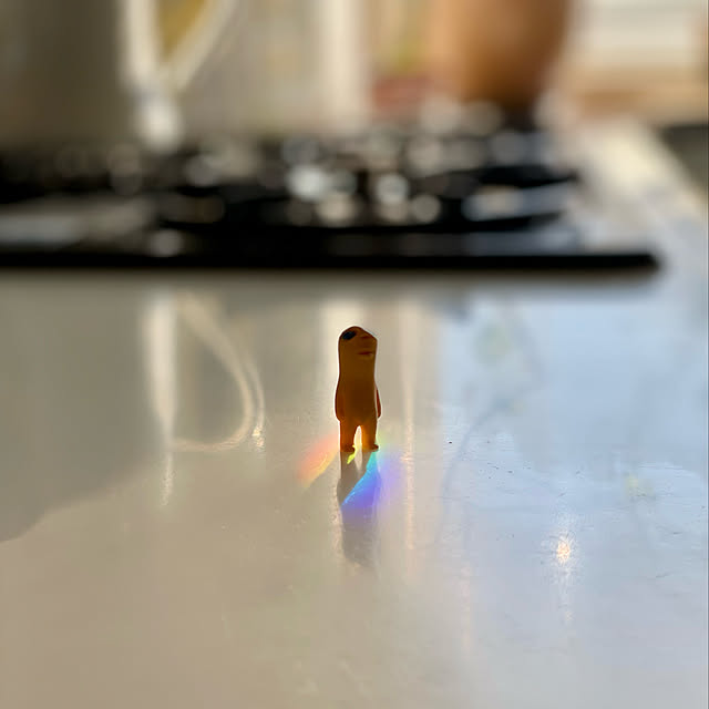 fukumaruさんの実例写真