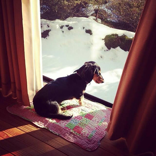 soruhu_1017さんの実例写真