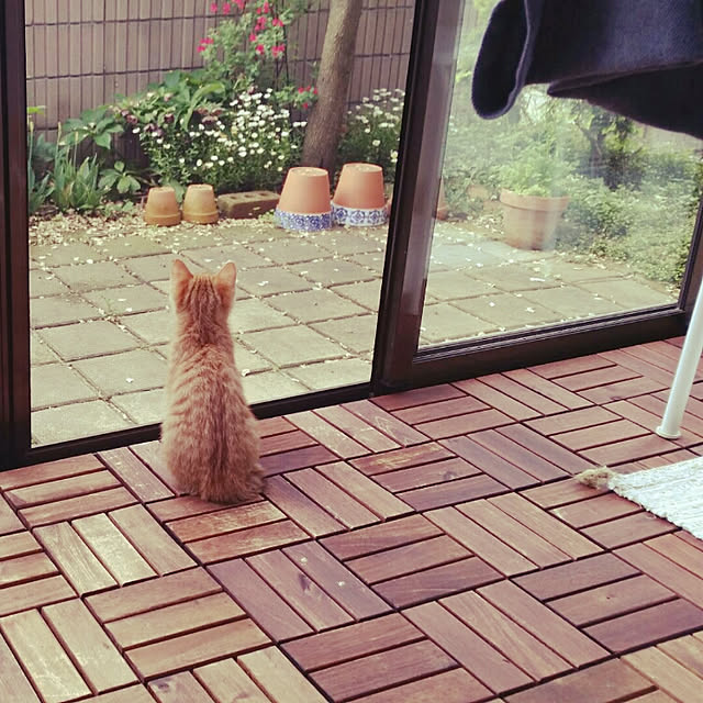 rapin8226さんの実例写真