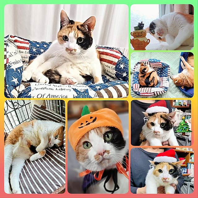 nanaさんの部屋