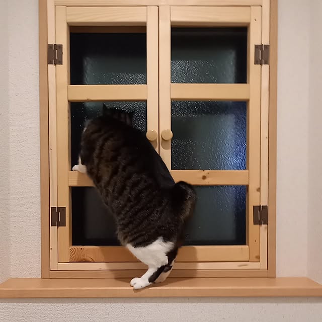 civicglさんの部屋