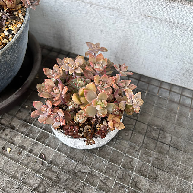 atsukoさんの部屋