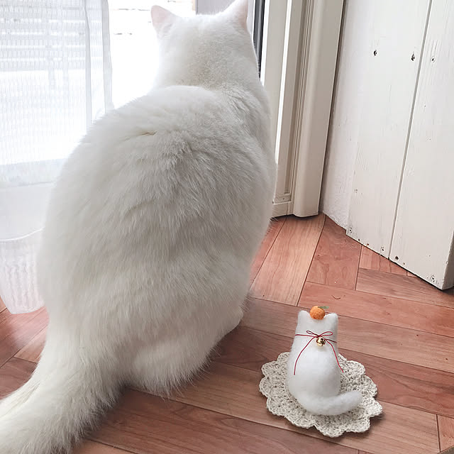 kotoriさんの実例写真