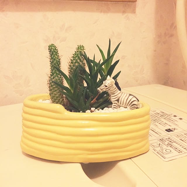 yukiyukiさんの実例写真