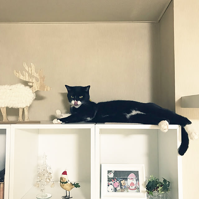 mtkさんの実例写真
