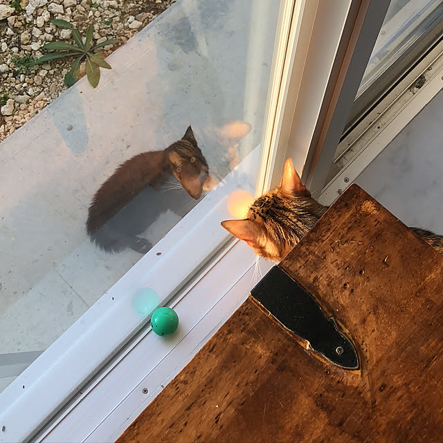 iranさんの実例写真
