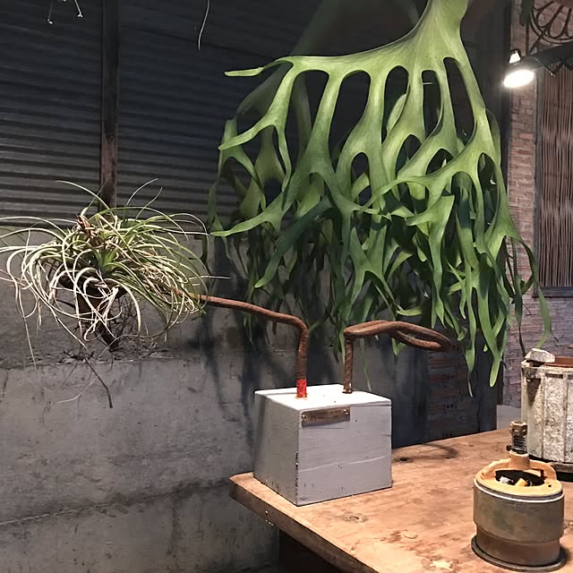Yojiさんの実例写真