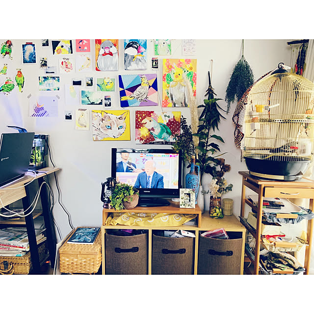 parrotさんの実例写真