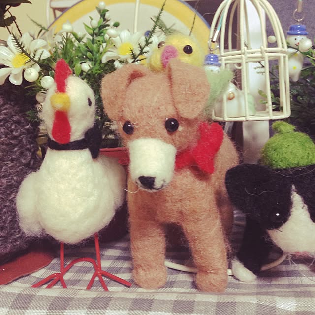 cocoさんの実例写真