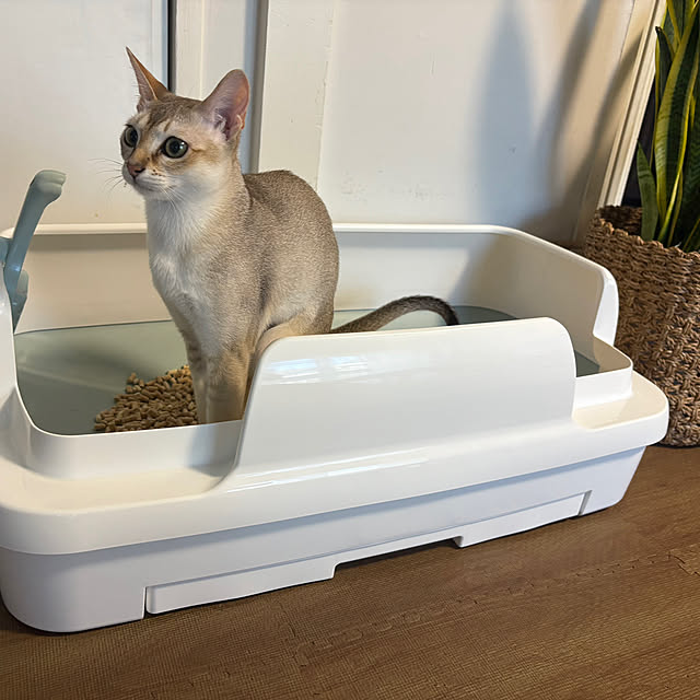 noriさんの実例写真
