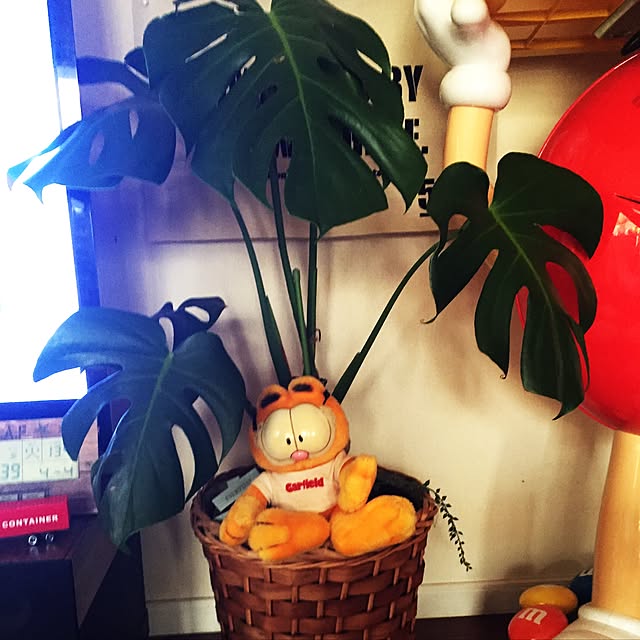 vanillaさんの実例写真