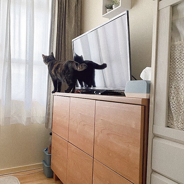 37さんの部屋