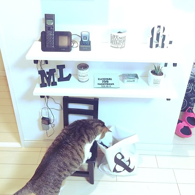 taachanさんの実例写真