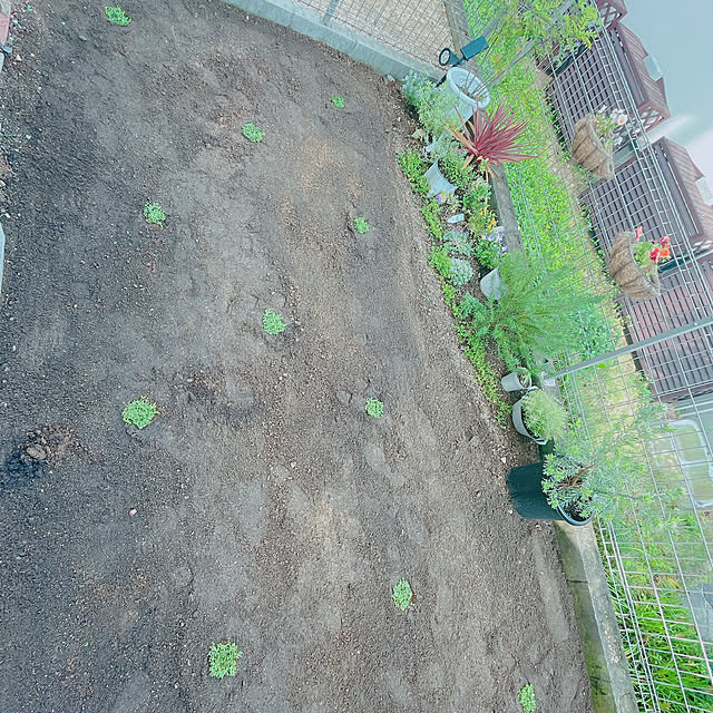 maa_ouchi___さんの実例写真