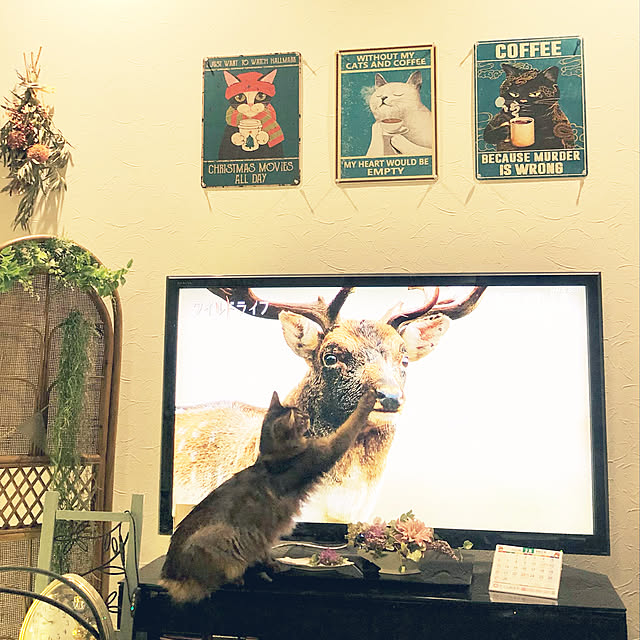 paradise_viewさんの実例写真
