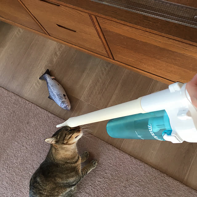 mikomaruさんの実例写真
