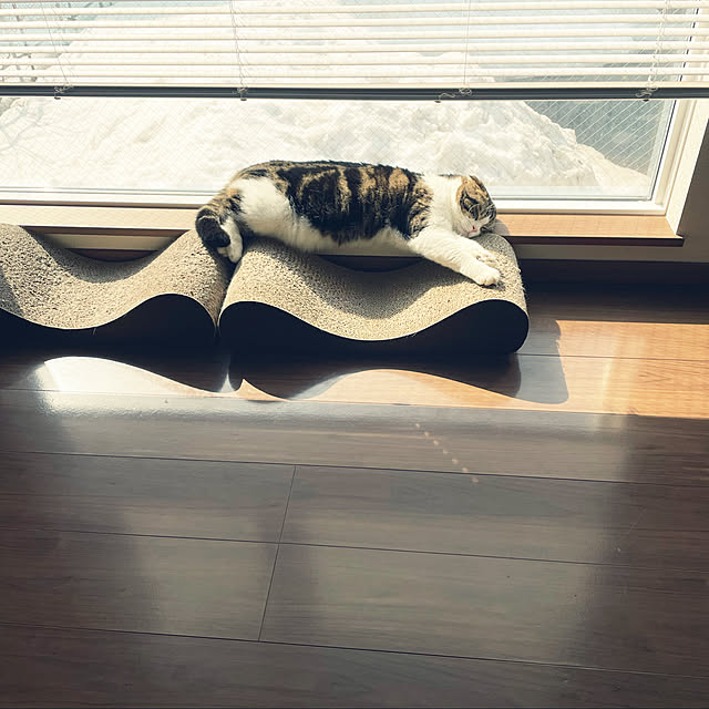 tansukeさんの実例写真