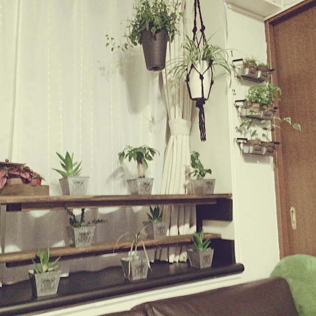 maimaiさんの実例写真