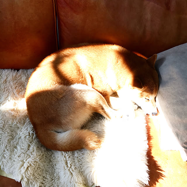 diez_taraさんの実例写真