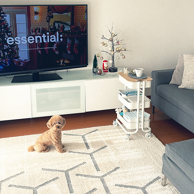 kawauso15さんの実例写真