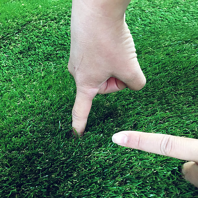 seiさんの実例写真